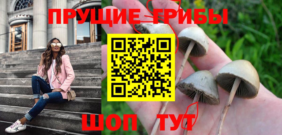 Галлюциногенные грибы Psilocybine cubensis Тула